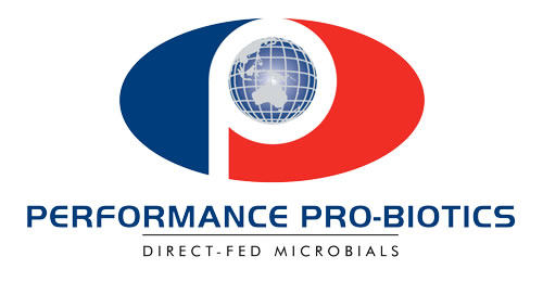 performance